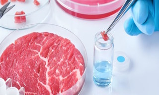 Лабораторный анализ пищевых продуктов по СанПиН в Клинцах в октябре