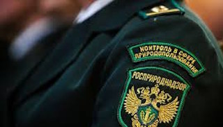 Подготовка к проверке Росприроднадзора в Клинцах от ПромМир-Клы, стоимость услуги от 20792 руб.